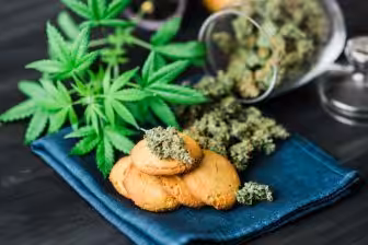 Tasty THC -The Dangers of Cannabis Edibles