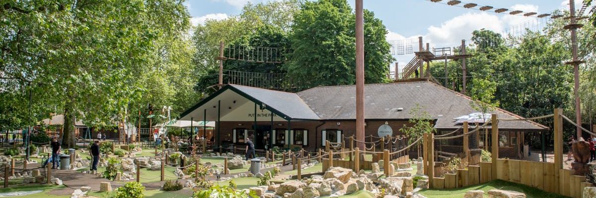 Alcohol Free Activities: Enjoying a Day at the Park Park with ropes course offering alcohol free activities for recovery