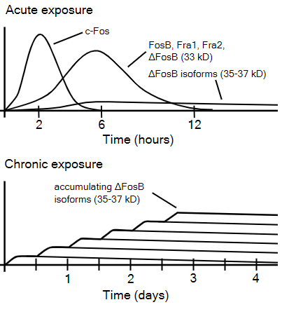Graph showing time response in animal models of depression research