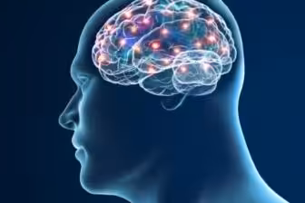 How Amino Acid Therapy Enhances Recovery from Alcohol