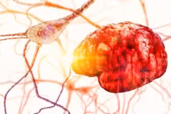 How Heavy Drinking Causes Alcohol Brain Damage