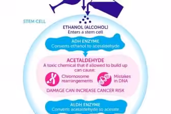 Protect Yourself: Cancers Caused By Alcohol and Prevention Tips