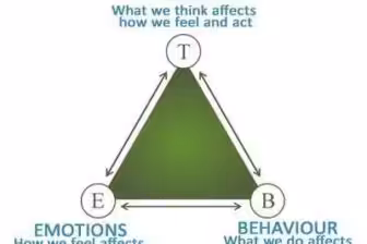 Cognitive Behavioural Therapy: A Key Component of Alcohol Counselling