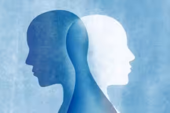 Dual Diagnosis: Alcoholisms Effect on Mental Well-Being