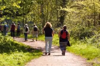 The Connection Between Fitness and Mental Health in Recovery