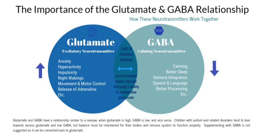 Illustration of Glutamate and GABA neurotransmitters for recovery
